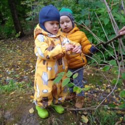 Внимание! Идёт донабор в домашний развивающий клуб «Искорка»!